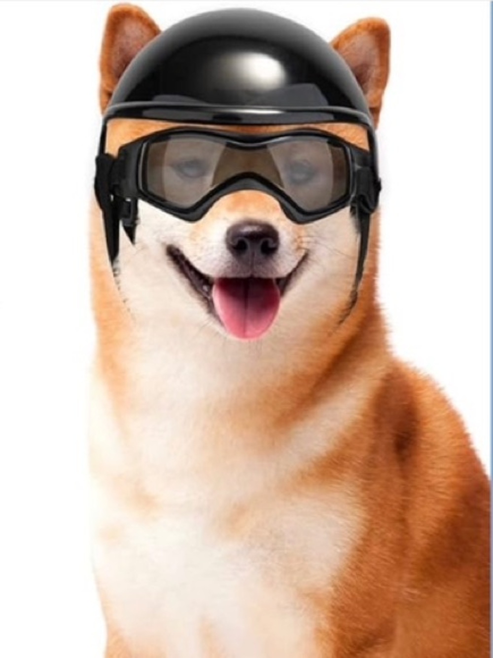 Black Protective Dog Goggles